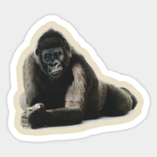 cornelius in relax Sticker